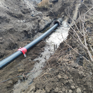 photo_2_2026-01-15_10-57-20